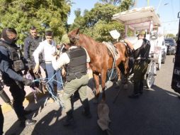 'Tenemos más de 100 años trabajando y nunca habían exigido tener una licencia', señaló Rafael Méndez Barajas, representante de calandrieros. EL INFORMADOR/G. Arenas