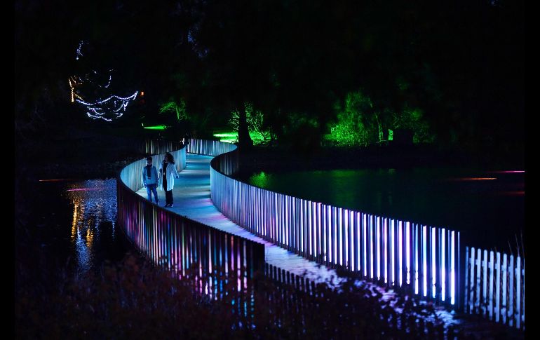 Los Jardínes Botánicos de la Realeza en Londres fueron iluminados con motivo de las fiestas navideñas y pronto comenzarán a recibir visitantes. AFP / B. Stansall
