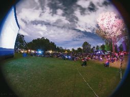 Aire libre. Hay diversas actividades planeadas en el Parque Metropolitano. ESPECIAL