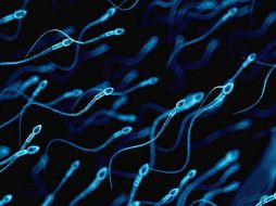 Un pequeño efecto de las partículas PM2.5 en la morfología normal del esperma puede provocar infertilidad a un importante número de parejas. ESPECIAL