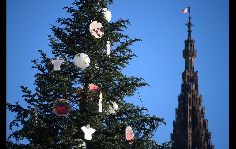 Un enorme árbol de Navidad fue instalado junto a la Catedral de Estrasburgo, Francia. AFP / F. Florin