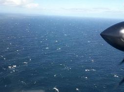 Fotografía cedida por la Armada Argentina que muestra la operación de un avión en la búsqueda del submarino ARA San Juan. EFE/ARMADA ARGENTINA