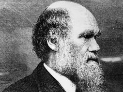 Además de las anotaciones, se encuentra una carta para el paleontólogo alemán Melchior Neumayr. EL INFORMADOR/ ARCHIVO