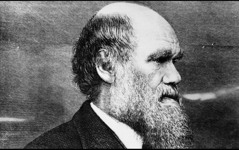 Además de las anotaciones, se encuentra una carta para el paleontólogo alemán Melchior Neumayr. EL INFORMADOR/ ARCHIVO