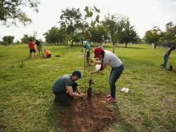 Acciones. Durante 2017, la Dirección de Medio Ambiente de Zapopan plantó más de 400 mil ejemplares en cuatro áreas naturales protegidas. EL INFORMADOR/F. Atilano