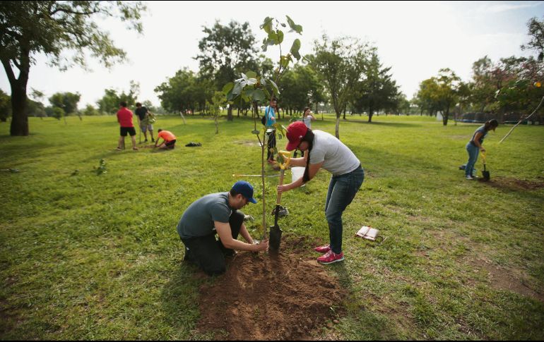 Acciones. Durante 2017, la Dirección de Medio Ambiente de Zapopan plantó más de 400 mil ejemplares en cuatro áreas naturales protegidas. EL INFORMADOR/F. Atilano