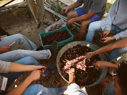 Actividades. En “La Granja” se llevan a cabo talleres para mantener a los jóvenes en constante actividad. EL INFORMADOR/F. Atilano