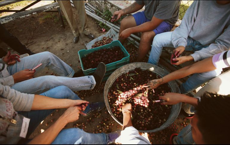 Actividades. En “La Granja” se llevan a cabo talleres para mantener a los jóvenes en constante actividad. EL INFORMADOR/F. Atilano
