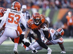 El equipo de Cincinnati llegó al partido con la peor ofensiva de la NFL, sumando 100 yardas solamente una vez antes del partido de este domingo. AFP / J. Robbins