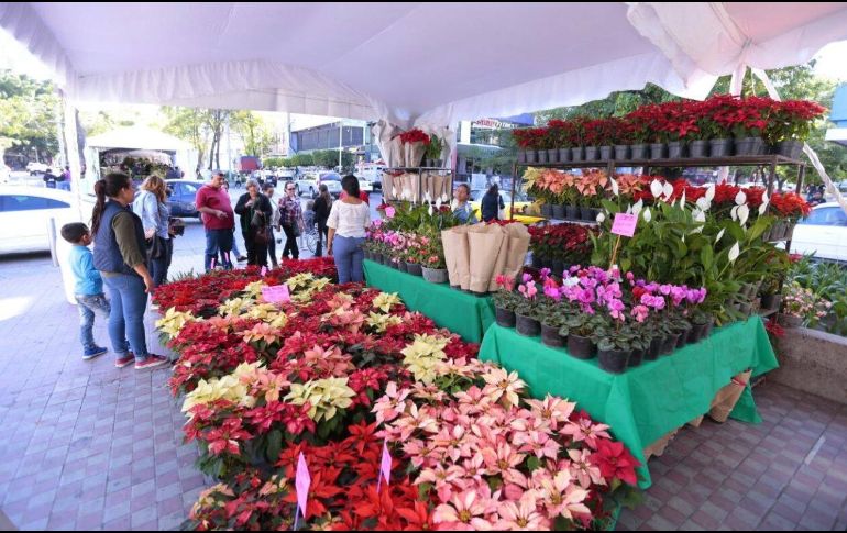 La Novena Feria de la Flores Invierno 2017, estará hasta el próximo 3 de diciembre. Twitter/@Seder