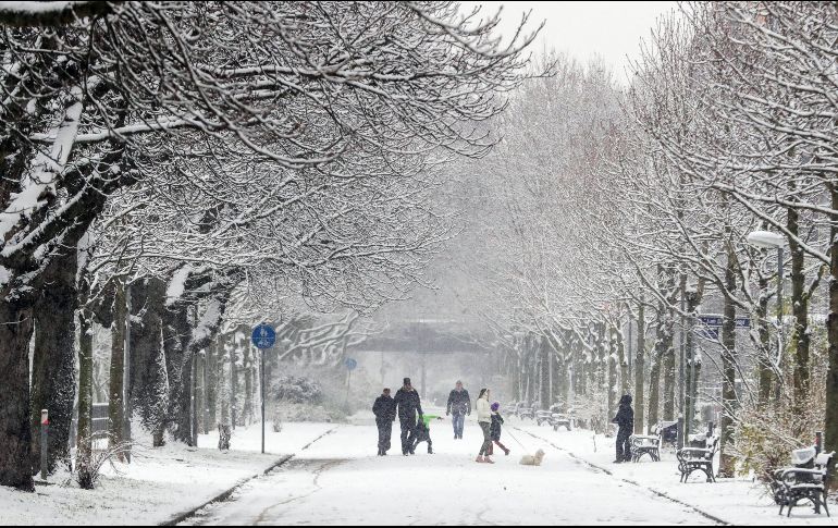 El Ayuntamiento ruso movilizó a más de 10 mil quitanieves y camiones para despejar las calles y aceras de Moscú. EFE/A. Babani