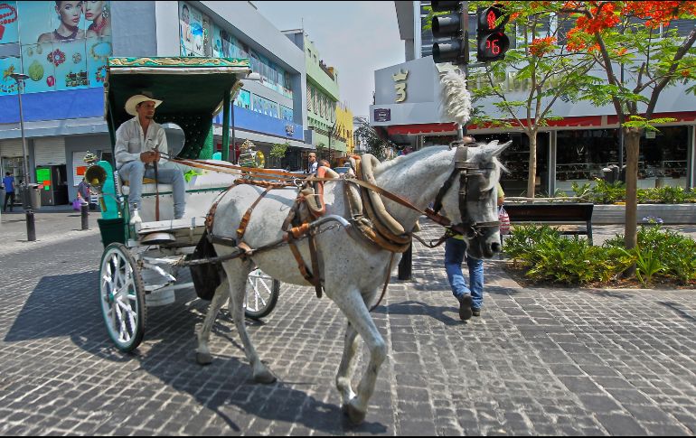 El día de hoy cumplen 24 horas sin comer. EL INFORMADOR/ ARCHIVO