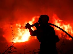 Fotogalería: Incendio en California deja miles de evacuados