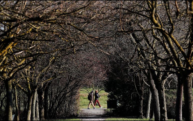 Una pareja se ve entre ramas del parque Norte de Milán, Italia. AP/A. Calanni