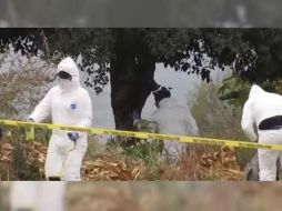 El jueves pasado, fueron detenidas seis personas luego de un operativo que dejó como saldo seis muertos, entre los que destaca un bebé. YOUTUBE / Red-113 Michoacán