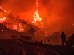 Más de 500 inmuebles han quedado destruidos y miles han evacuado por el fuego que ha quemado casi 647 kilómetros cuadrados de terreno desde el lunes. AP / N. Berger