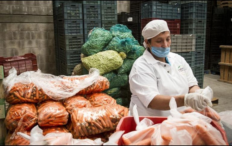 El titular de la STPS menciona que con el Comité de Inclusión e Igualdad de Género han disminuido el hostigamiento sexual y la igualdad de oportunidades. EL INFORMADOR/ARCHIVO