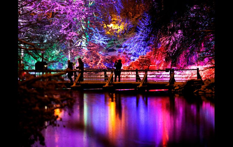 Un estanque luce iluminado como parte de la exposición 