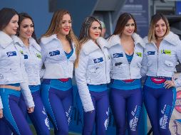 Fotogalería: las bellezas de la Final AP2017