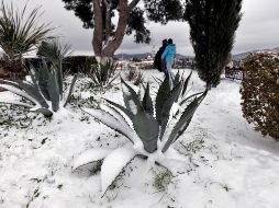Se espera la declaratoria para los municipios de Concepción del Oro, Mazapil, Melchor Ocampo y Vetagrande, por nevada severa ocurrida el 8 de diciembre. EFE / ARCHIVO