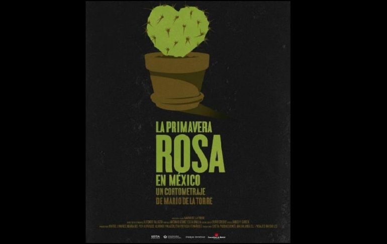 El cortometraje quiere denunciar que este país ocupa el segundo lugar mundial en la tasa de asesinatos cometidos contra la población LGBT. ESPECIAL / premiosgoya.com