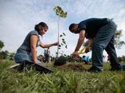 El presidente municipal, Enrique Alfaro, indica que la colaboración con la asociación civil ha sido una extraordinaria ayuda para que se cumpla en materia del medio ambiente. EL INFORMADOR / ARCHIVO