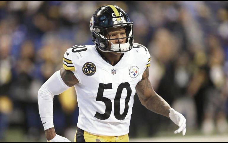 El apoyador sufrió su lesión en la espina dorsal frente a los Bengals. AP