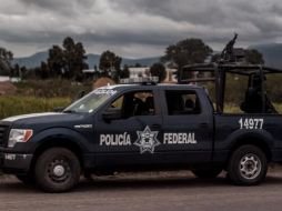 El hallazo es realizado por elementos de la Secretaría de la Defensa Nacional (Sedena) y de la Policía Federal (PF). EL INFORMADOR / ARCHIVO