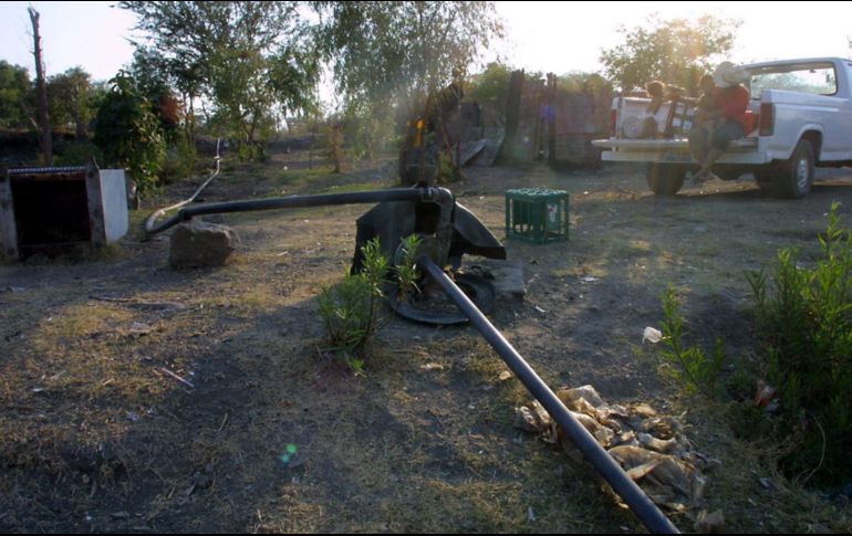 Elementos del Ministerio Público de la Federación integraron cuatro carpetas de investigación para realizar dar con los responsables.  EL INFORMADOR/ ARCHIVO