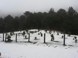 ESPECIAL/ Protección Civil Jalisco