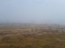 Por segundo día consecutivo los municipios de la ZMG amanecieron cubiertos de neblina. ESPECIAL/ Yazmin Tania Gudiño