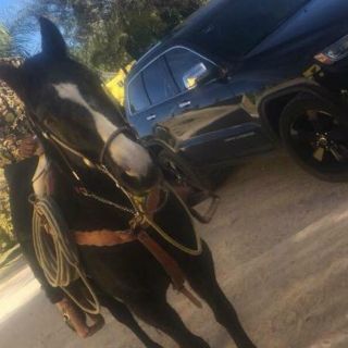 Fiscalía confirma fallecimiento de "El Pirata de Culiacán"