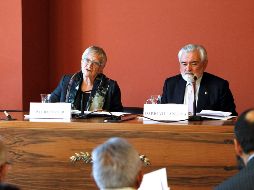 Desde el pasado mes de marzo anunciaron que tenía previsto incluir esta definición de 