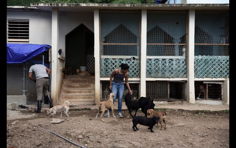 Voluntarios trabajan en el refugio, el cual también resultó dañado por el huracán.