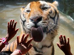 El mundo en imágenes del 21 de diciembre de 2017