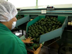 Autoridades aseguraron que la iniciativa resultará un parteaguas en las formas de hacer comercio en el mundo. EL INFORMADOR/ ARCHIVO