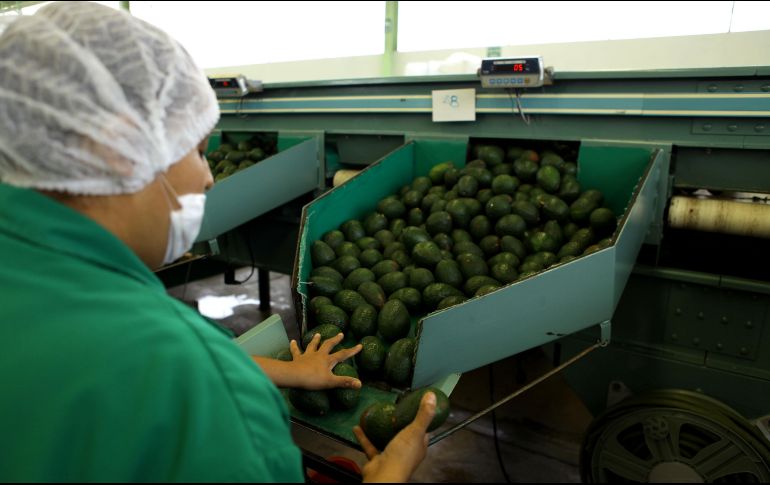 Autoridades aseguraron que la iniciativa resultará un parteaguas en las formas de hacer comercio en el mundo. EL INFORMADOR/ ARCHIVO