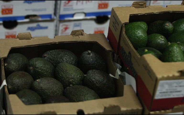 La nueva certificación es complementaria a la de Senasica. EL INFORMADOR/Archivo