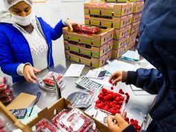 Las importaciones de Canadá a México aumentaron 11% en el periodo enero-septiembre de 2017. EL INFORMADOR/ ARCHIVO