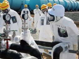 Se confirma el aval preliminar otorgado por la misma autoridad a comienzos de octubre. AFP / ARCHIVO