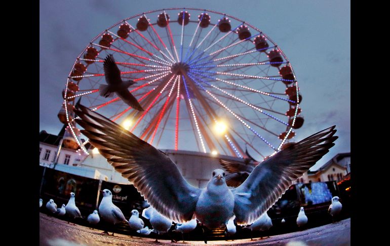 Una gaviota se ve frente a una rueda de la fortuna en el mercado navideño de Schwerin, en Alemania. AP/M. Probst