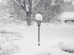 La nevada también superó el récord de nieve en 48 horas de todo el estado de Pensilvania. TWITTER/ @shipscominghome