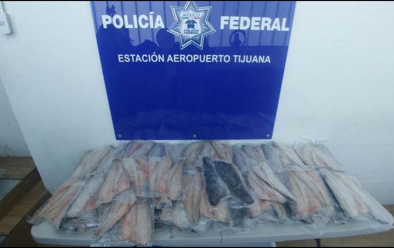 En una hielera se encontraron 52 empaques con dos filetes cada uno. TWITTER / @PROFEPA_Mx