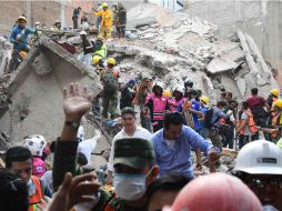 Corporaciones y vecinos se sumaron al rescate de cientos de víctimas. AFP / R. Schemidt