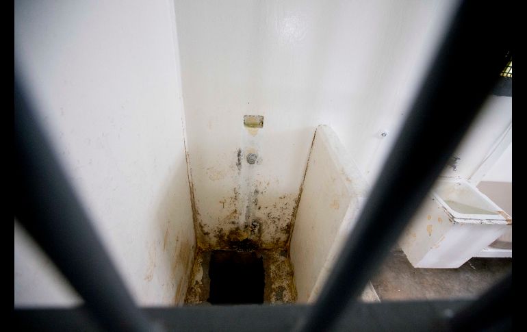 El 11 de julio de 2015, el 