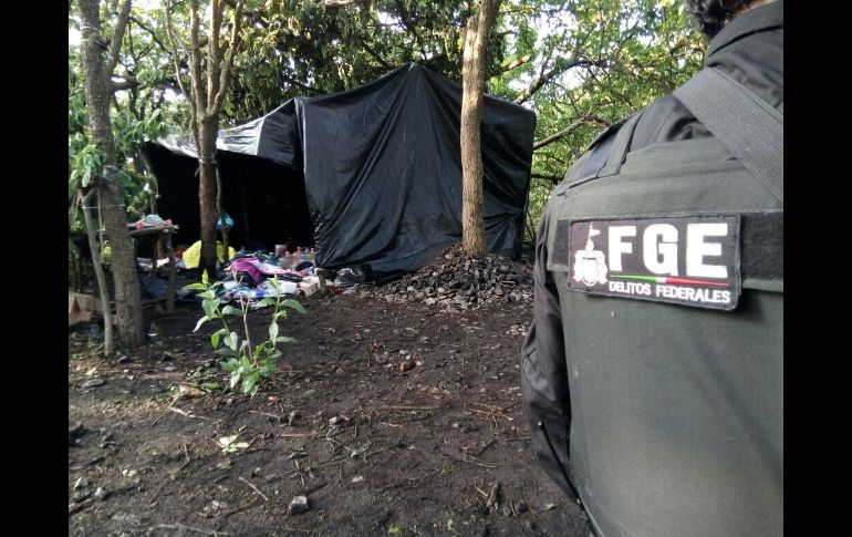 TALA, JALISCO (27/JUL/2017).- Días después la Fiscalía General del Estado realizó un operativo entre las poblaciones de Las Navajas y Ahuisculco, donde se localizó otro campamento usado por un grupo criminal. ESPECIAL