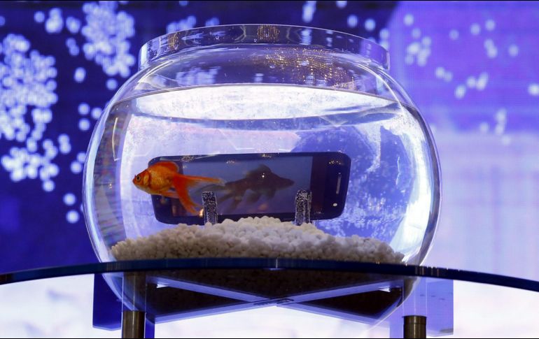 El cristal de Yanagisawa podría triplicar la vida útil de productos como las ventanas de los coches, los materiales de construcción, las peceras y los teléfonos. EFE/Archivo