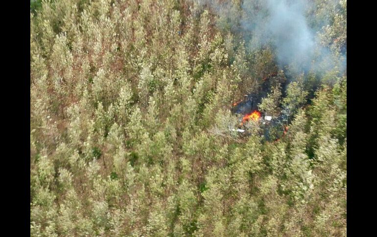Se precipitó a tierra en una zona montañosa. AP/Ministerio de Seguridad Pública