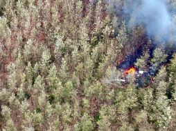 La aeronave se estrelló contra una zona montañosa y posteriormente ardió en llamas. EFE/Cortesía Ministerio de Seguridad Pública