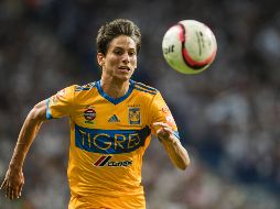 De acuerdo con información publicada en la cuenta oficial de Tigres, el tiempo de recuperación sería de dos semanas, por lo que Damm se perdería el inicio del Torneo Clausura 2018. MEXSPORT / ARCHIVO